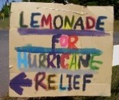 lemonade stand fundraising